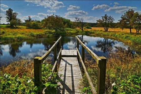 The Ore Mountains: Photo: Usti Region
