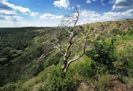 Vysočina Region | Photo: Vysočina Tourism