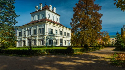Ostrov