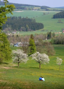 Vysočina Region | Photo: Vysočina Tourism, © Vladimír Kunc