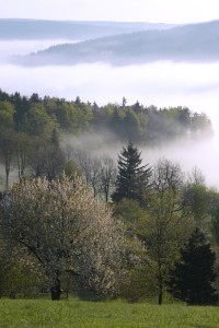 Vysočina Region | Photo: Vysočina Tourism