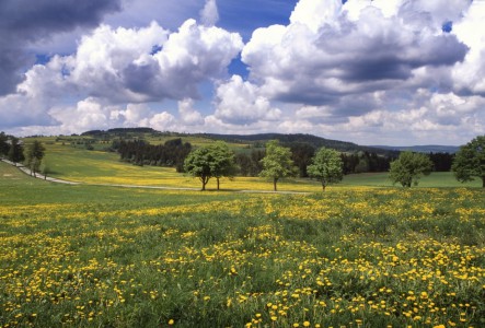 Vysočina Region | Photo: Vysočina Tourism, © Vladimír Kunc