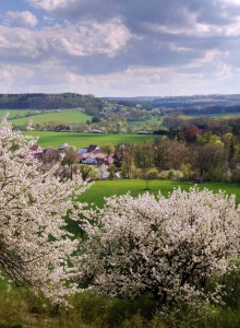 Vysočina Region  | Photo: Vysočina Tourism