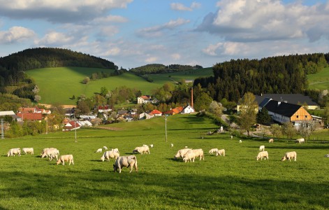 Vysočina Region | Photo: Vysočina Tourism