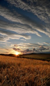 Vysočina Region | Photo: Vysočina Tourism, © Karel Varhaník
