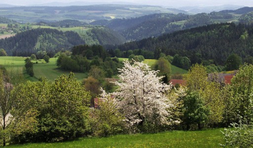 Vysočina Region | Photo: Vysočina Tourism