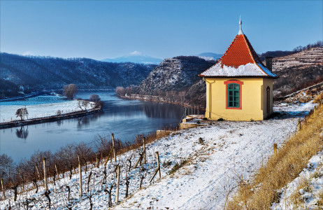 Vineyard, Central Bohemian Uplands | Photo: Ústí Region Archive