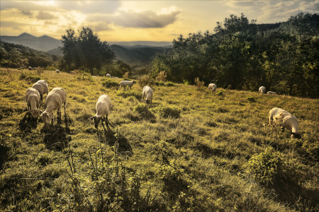 Central Bohemian Uplands | Photo: Ústí Region Archive