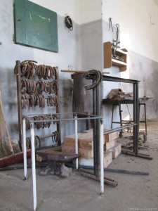 Stud farm in Tlumačov| Photo: Zemský hřebčinec Tlumačov s.p.o.