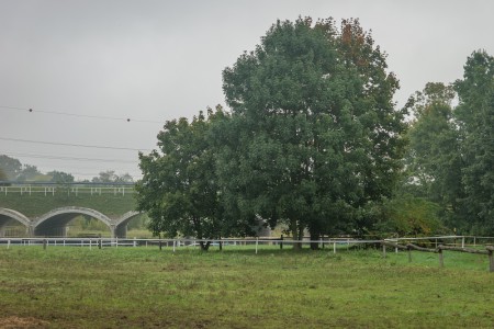 Stud farm in Tlumačov| Photo: Zemský hřebčinec Tlumačov s.p.o.