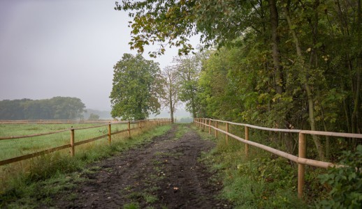 Stud farm in Tlumačov | Photo: Zemský hřebčinec Tlumačov s.p.o.