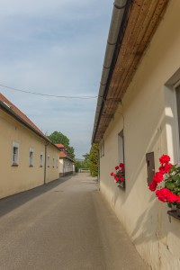 Stud farm in Tlumačov | Photo: Zemský hřebčinec Tlumačov s.p.o.