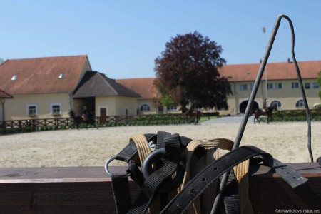 Stud farm in Tlumačov | Photo: Zemský hřebčinec Tlumačov s.p.o.