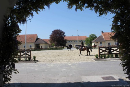 Stud farm in Tlumačov | Photo: Zemský hřebčinec Tlumačov s.p.o.
