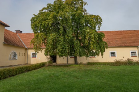 Stud farm in Tlumačov| Photo: Zemský hřebčinec Tlumačov s.p.o.