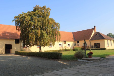 Stud farm in Tlumačov| Photo: Zemský hřebčinec Tlumačov s.p.o.