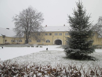 Stud farm in Tlumačov| Photo: Zemský hřebčinec Tlumačov s.p.o.