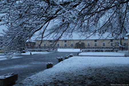 Stud farm in Tlumačov| Photo: Zemský hřebčinec Tlumačov s.p.o.