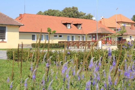 Stud farm in Tlumačov | Photo: Zemský hřebčinec Tlumačov s.p.o.