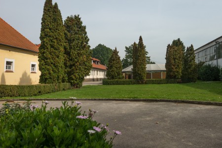 Stud farm in Tlumačov | Photo: Zemský hřebčinec Tlumačov s.p.o.