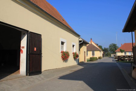 Stud farm in Tlumačov | Photo: Zemský hřebčinec Tlumačov s.p.o.