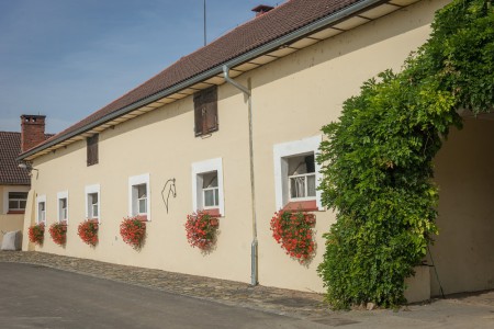 Stud farm in Tlumačov | Photo: Zemský hřebčinec Tlumačov s.p.o.