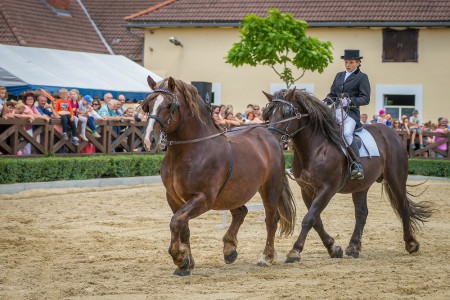 Stud farm in Tlumačov | Photo: Zemský hřebčinec Tlumačov s.p.o.