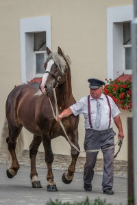 Stud farm in Tlumačov | Photo: Zemský hřebčinec Tlumačov s.p.o.
