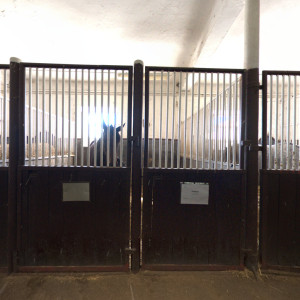 Stud farm in Tlumačov| Photo: Zemský hřebčinec Tlumačov s.p.o.
