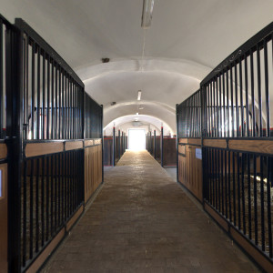 Stud farm in Tlumačov | Photo: Zemský hřebčinec Tlumačov s.p.o.