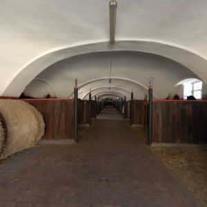 Stud farm in Tlumačov | Photo: Zemský hřebčinec Tlumačov s.p.o.