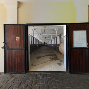 Stud farm in Tlumačov | Photo: Zemský hřebčinec Tlumačov s.p.o.