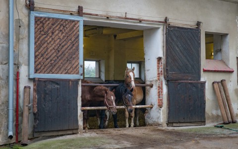 Stud farm in Tlumačov | Photo: Zemský hřebčinec Tlumačov s.p.o.