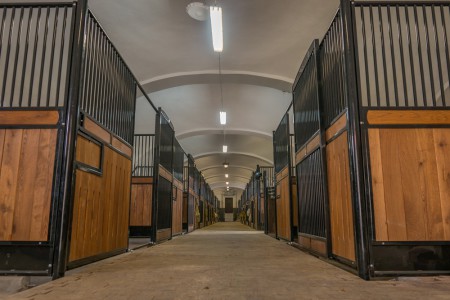 Stud farm in Tlumačov | Photo: Zemský hřebčinec Tlumačov s.p.o.