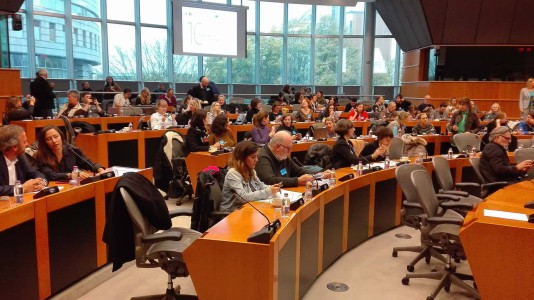 Panel discussions were a part of the 10th Anniversary of the EUFCN, Brussels November 2017