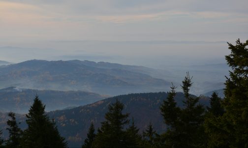 Jeseniky Mountains