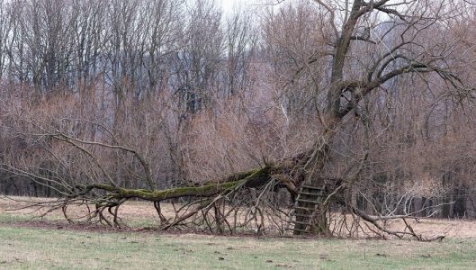 Mukařov | Photo: Czech Film Commission