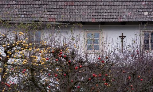 Konojedy | Photo: Czech Film Commission