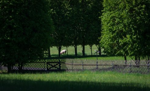 Valeč Chateau | Photo: Czech Film Commission
