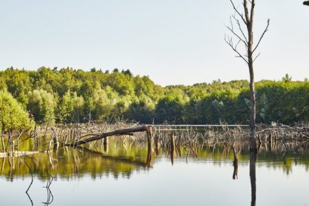 Post-Mining Landscape of the Karviná region | Photo: Karel Kita / Moravskoslezské Investice a Development
