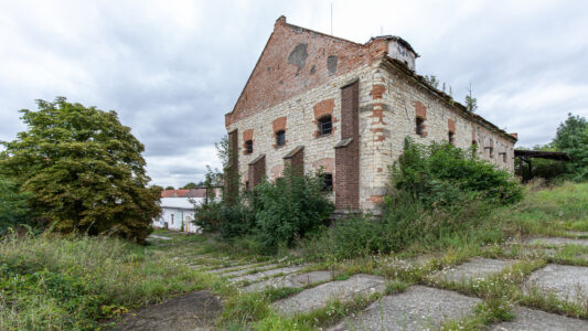 Photo: Tomas Hasl