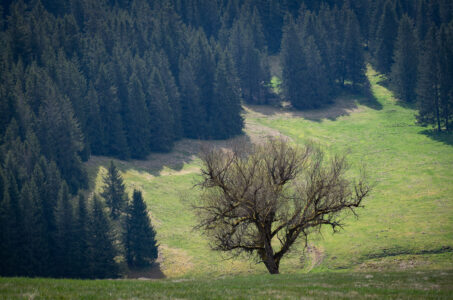 Photo: Czech Film Commission