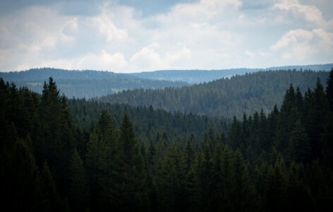 Photo: Czech Film Commission
