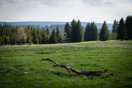 Photo: Czech Film Commission