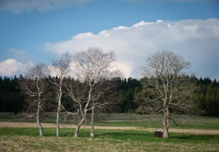 Photo: Czech Film Commission